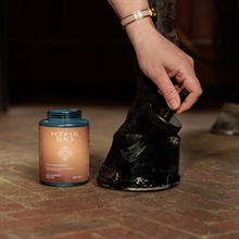 Grooming Deluxe Hoof Oil Shine